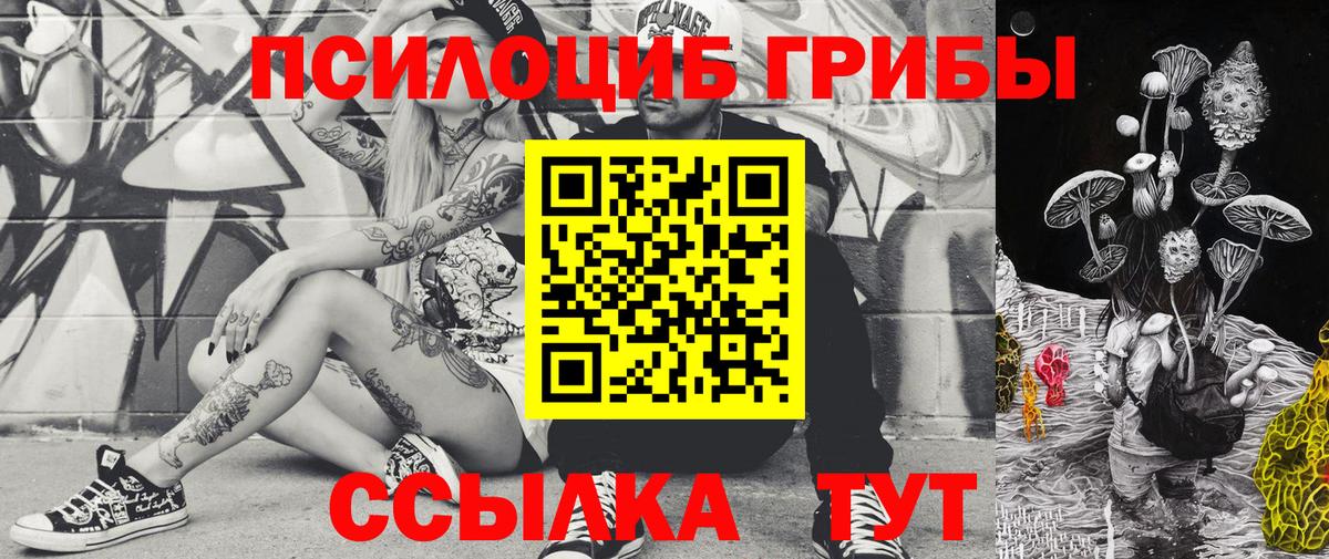 Галлюциногенные грибы Cubensis  Вход с VPN  Можайск  Галлюциногенные грибы прущие грибы 