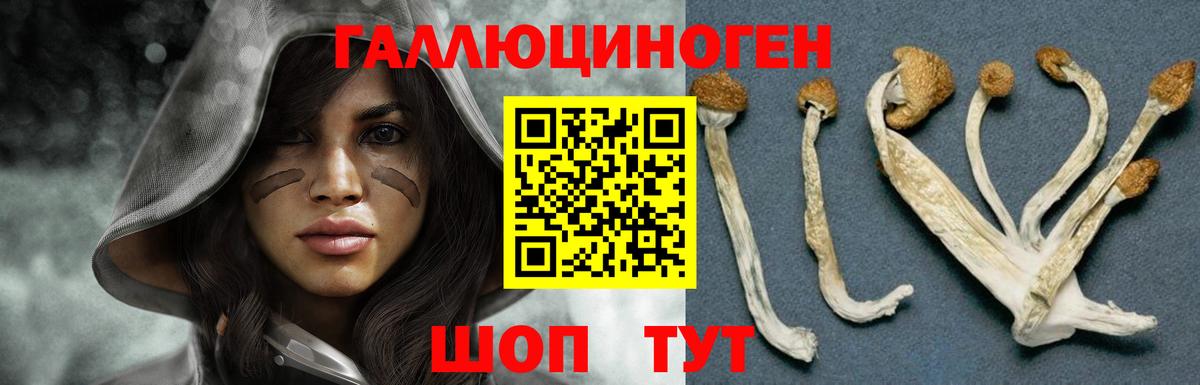 Галлюциногенные грибы Cubensis Можайск